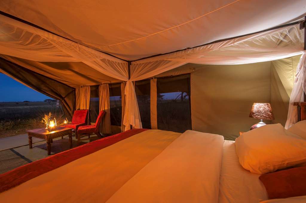Karibu Camps And Lodges Sametu Camp Serengeti Robanda الغرفة الصورة